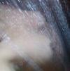 foto do perfil joalves